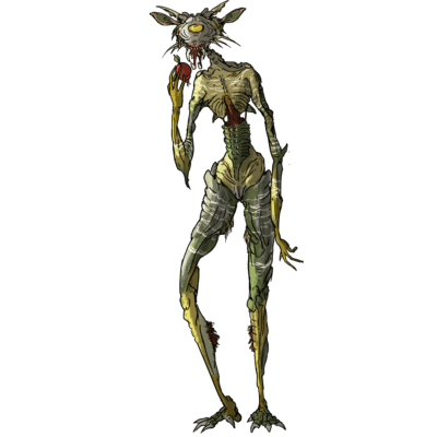 34